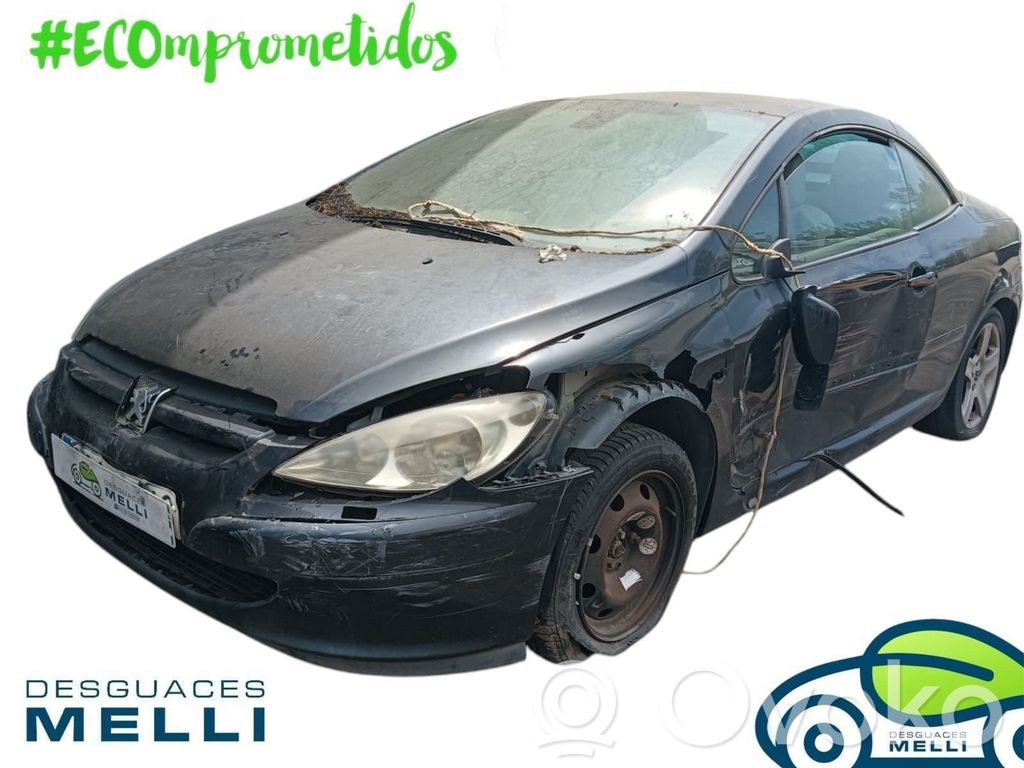 307 CC 307  9657870480