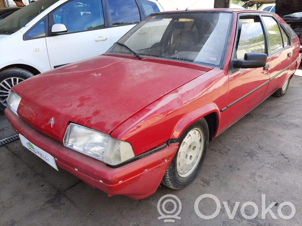 BX BX  95562445