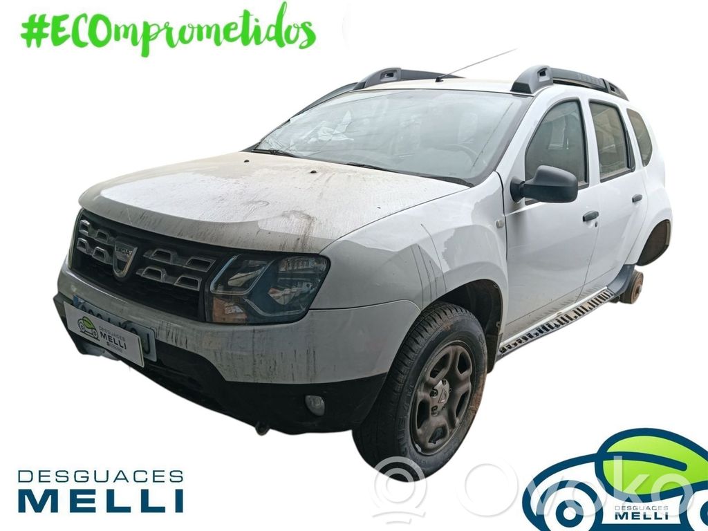 Duster Duster  490016615R