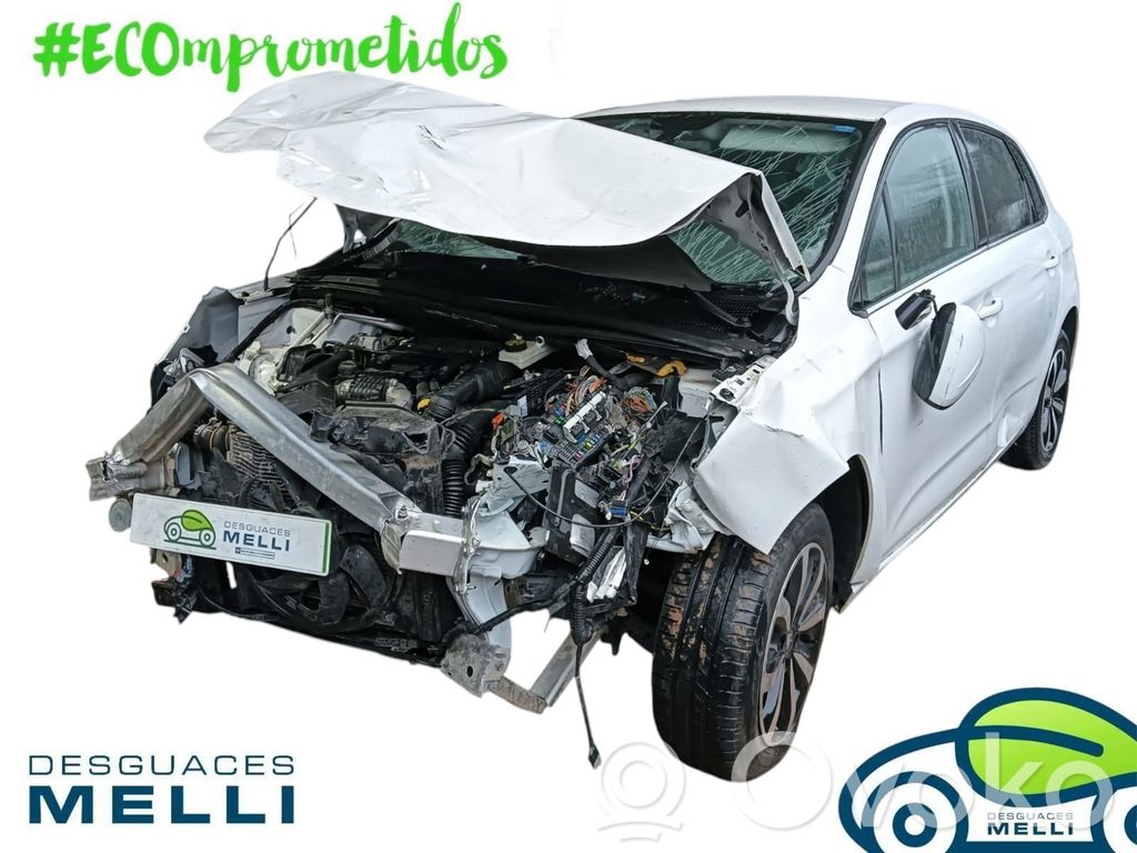 C4 I C4 Picasso, Grand Picasso, Aircross, Cactus  9684134780