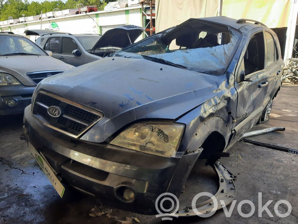 Sorento Sorento  495003E111