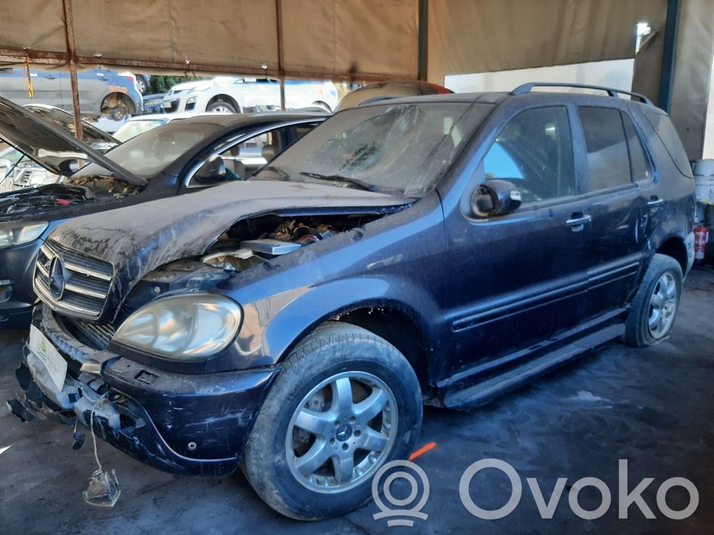 ML W163 ML-class, AMG (W163, W164, W166)  1637600534