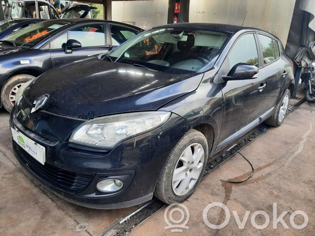 Megane III Megane  391004698R