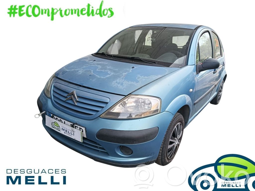 C3 C3, Pluriel, Picasso  8143GA