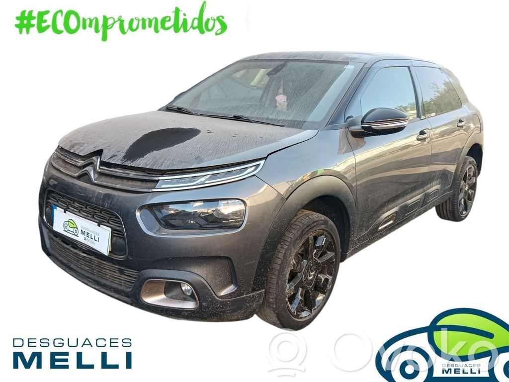 C4 Cactus C4 Picasso, Grand Picasso, Aircross, Cactus  98303131ZD