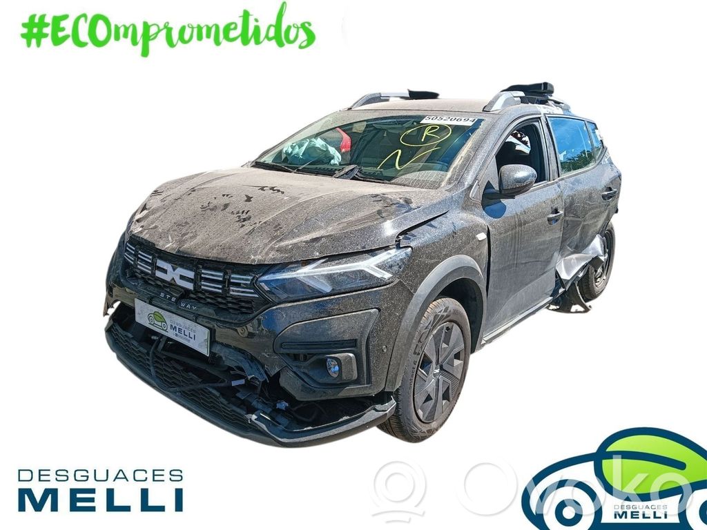 Sandero Sandero, Sandero Stepway  805033875R