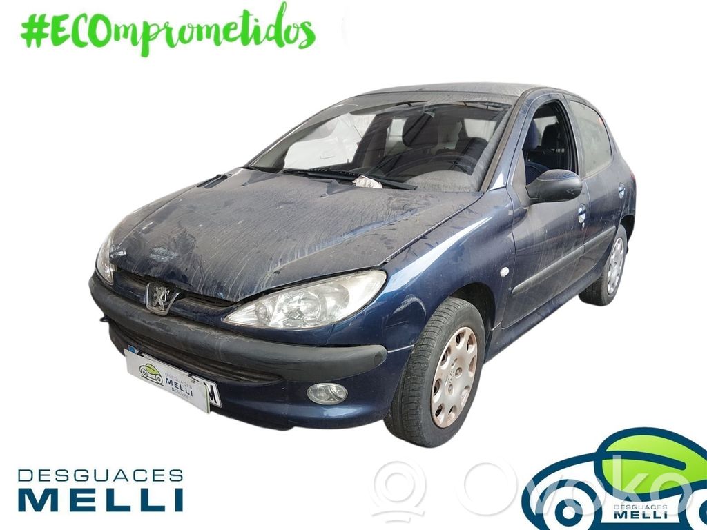 206 206, 206+  9650347980