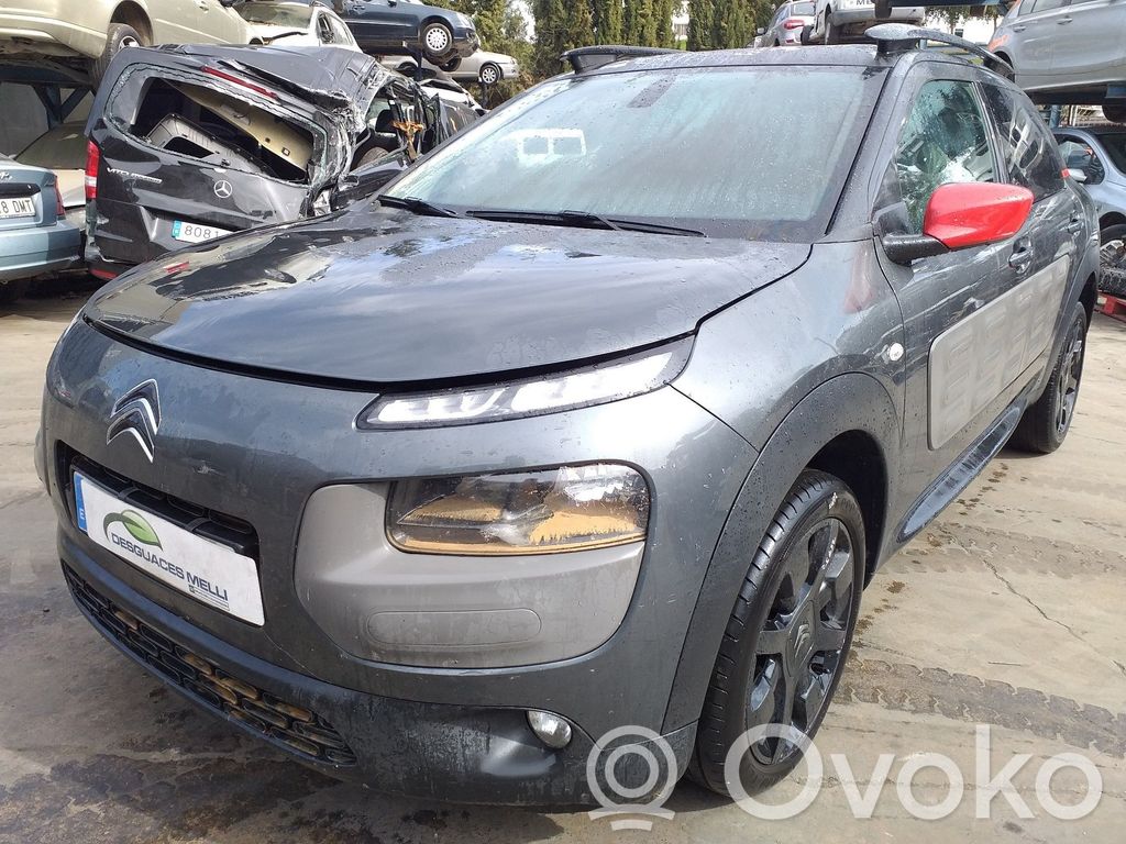 C4 Cactus C4 Picasso, Grand Picasso, Aircross, Cactus  9675749680