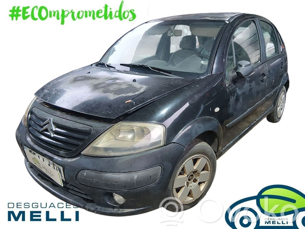 C3 Pluriel C3, Pluriel, Picasso  8143GA