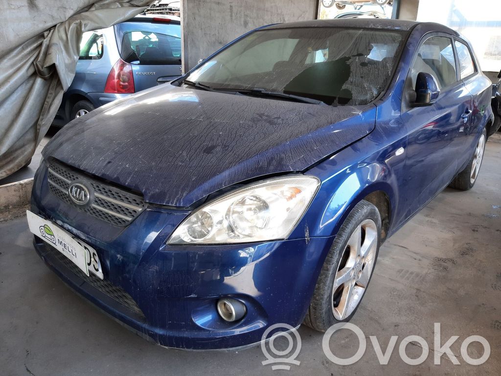Ceed Ceed, Ceed SW, Pro Ceed  517152H100