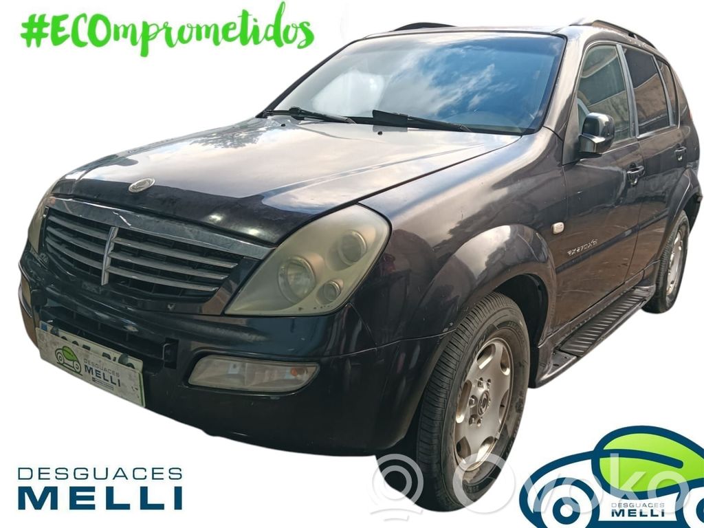Rexton Rexton  4621008003