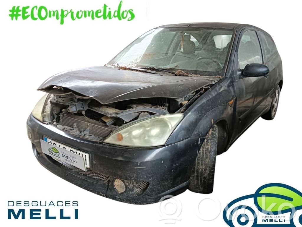 Focus Focus  1S4Q6090