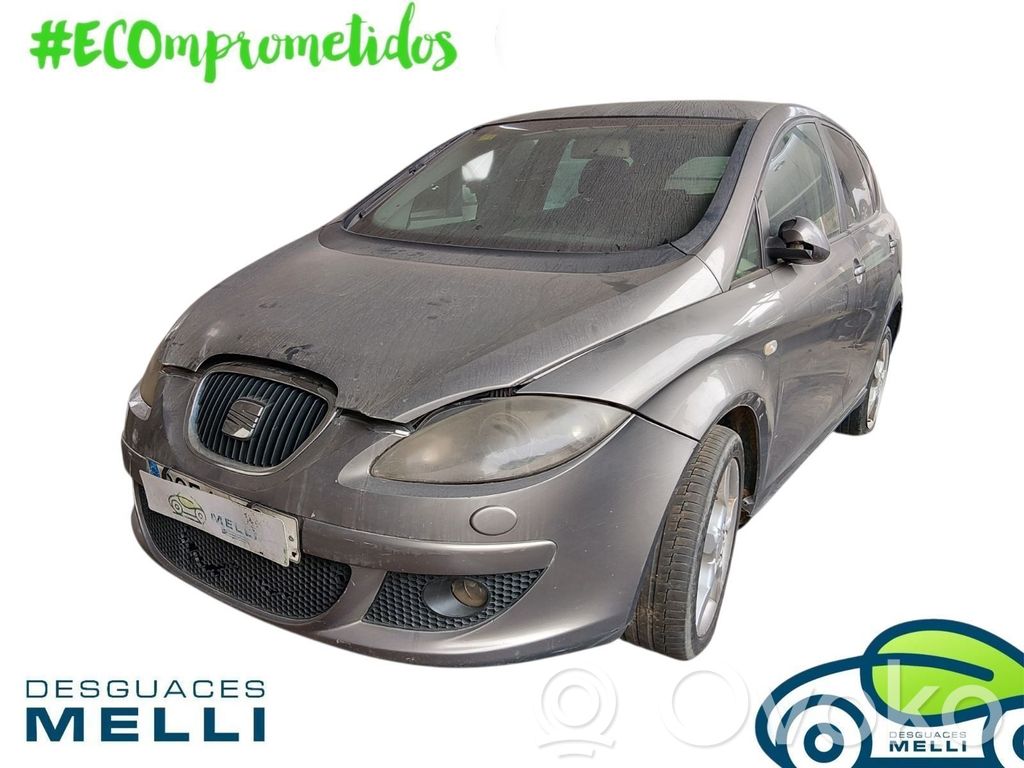 Toledo III (5P) Toledo  5P0955410B