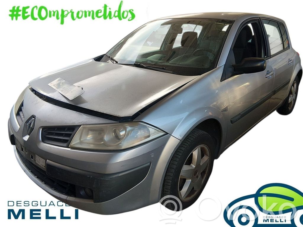 Megane II Megane  8200421359