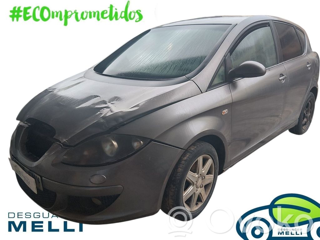 Toledo III (5P) Toledo  5P0833055A