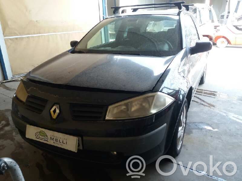 Megane II Megane  8200318813