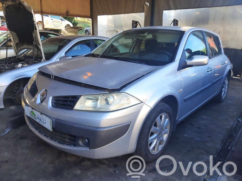 Megane II Megane  8200028487