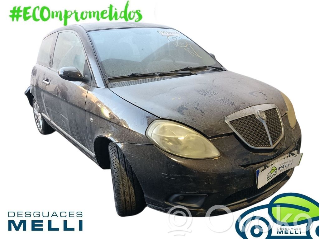 Ypsilon Ypsilon  50703230