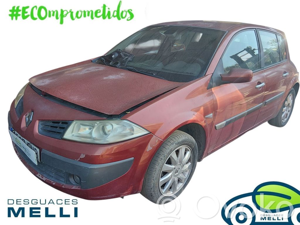 Megane II Megane  8200413906