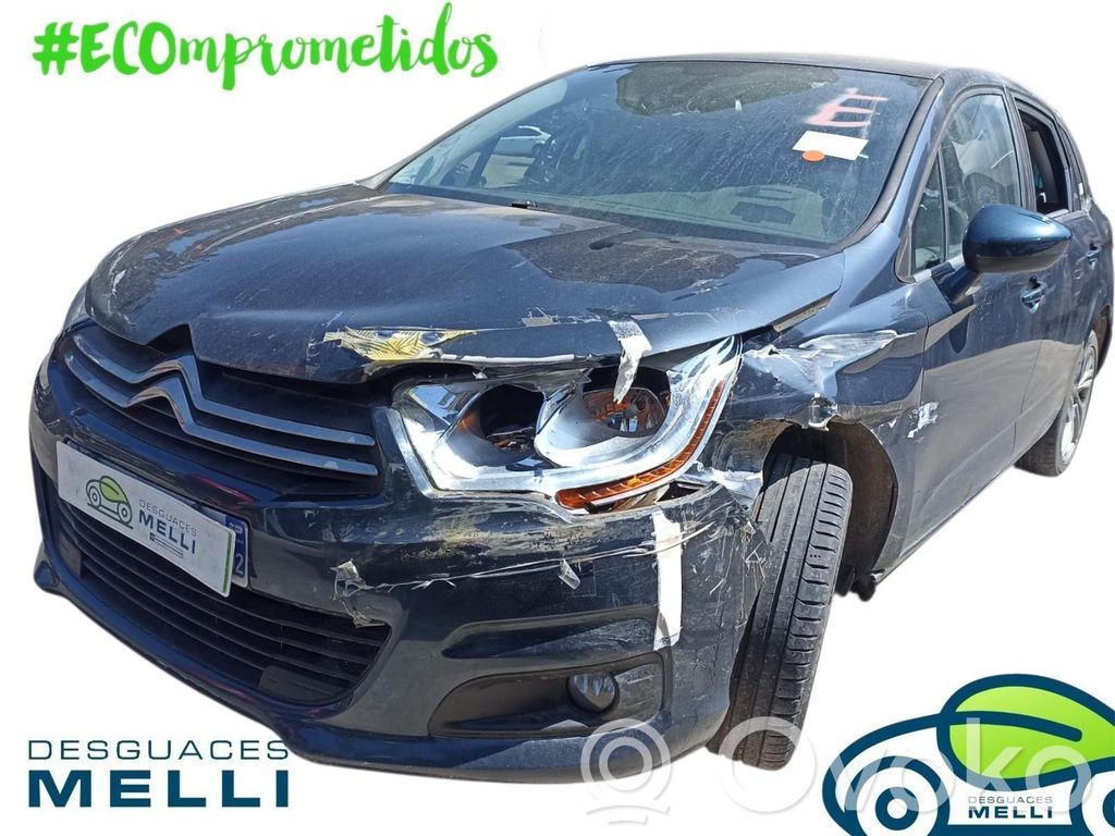 C4 I C4 Picasso, Grand Picasso, Aircross, Cactus  10002443