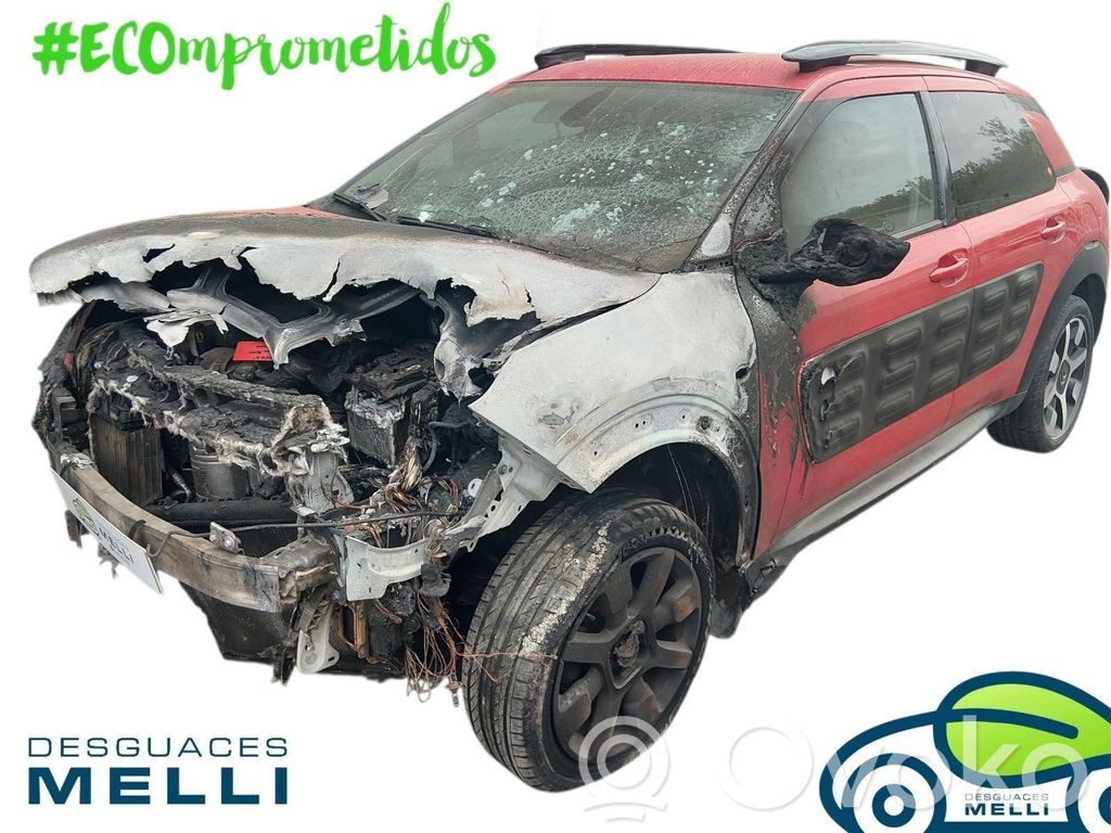 C4 Cactus C4 Picasso, Grand Picasso, Aircross, Cactus  9671433780