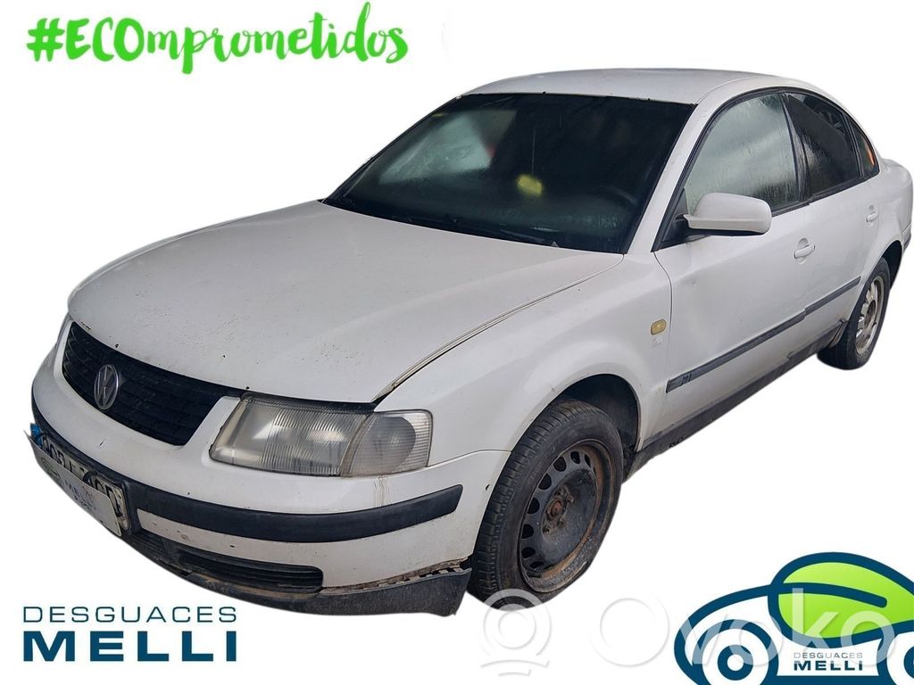 PASSAT B5 Passat  DVS