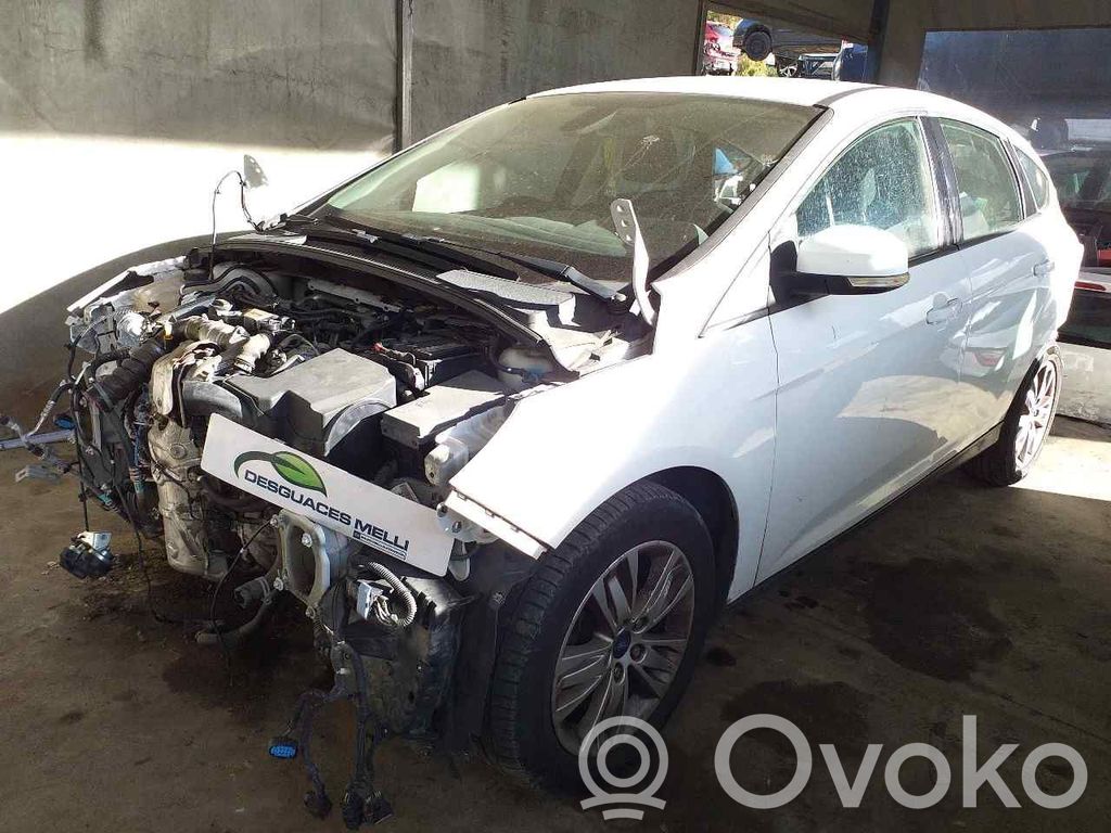 Focus Focus  1702855