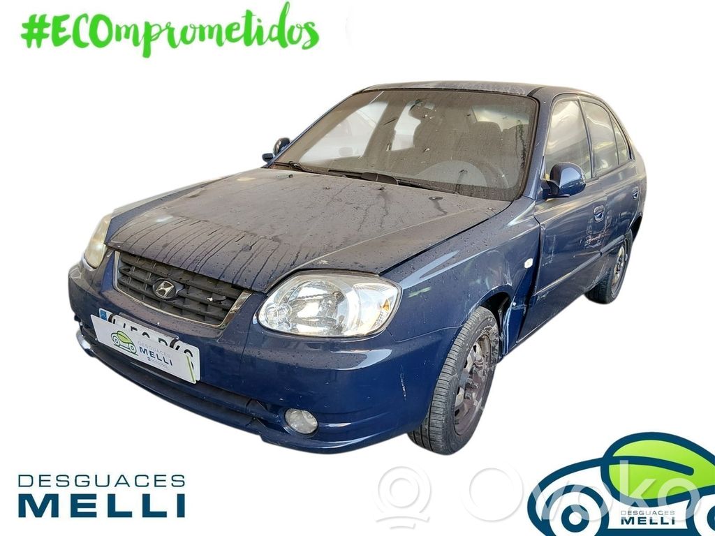 Accent Accent  8265025000