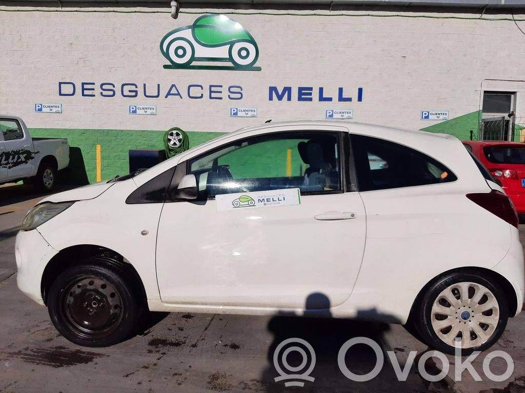 Ka Ka  1570922