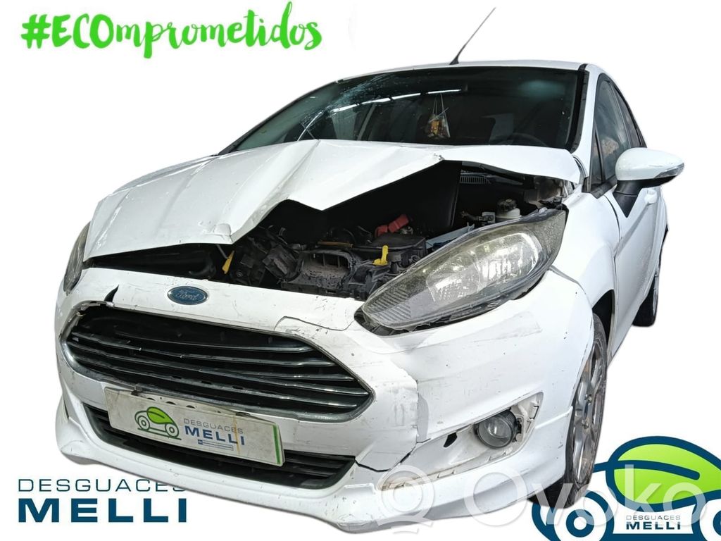 Fiesta Fiesta  C1BBA61294AC