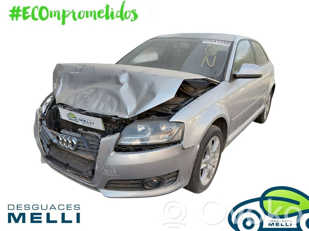 A3 S3 8P A3, S3  8P1419502J