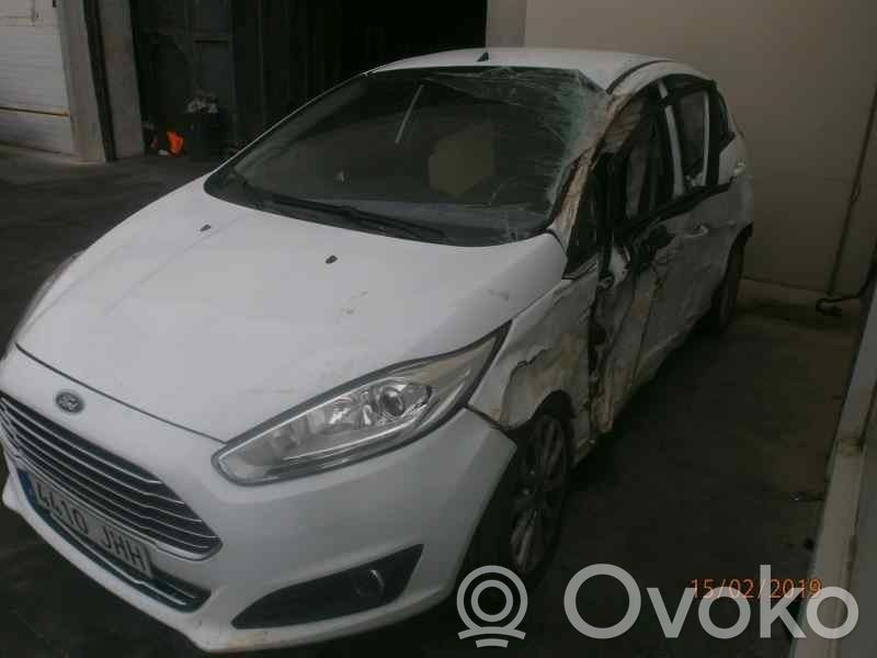 Fiesta Fiesta  1935902