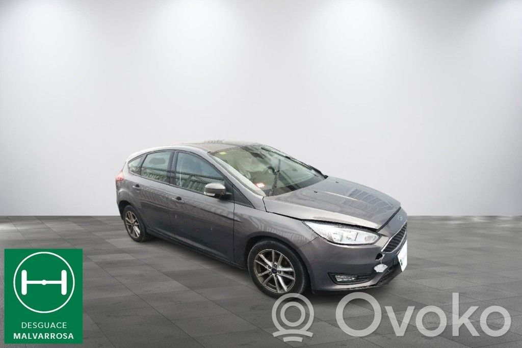 Focus Focus  2066073