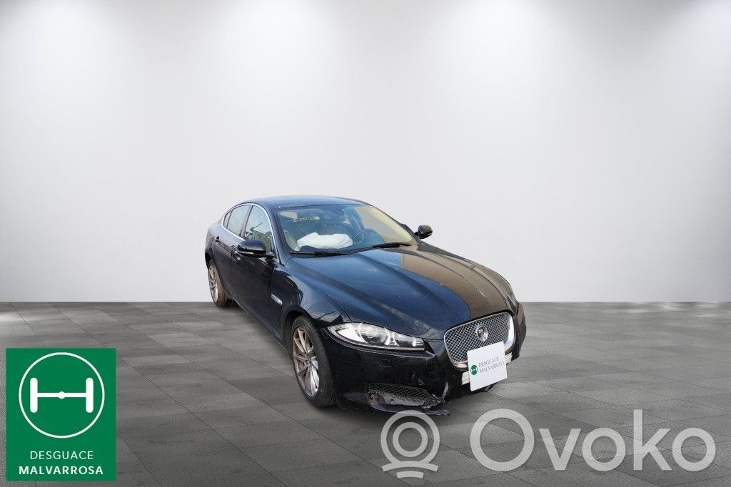 XF X250 XF  C2Z22210