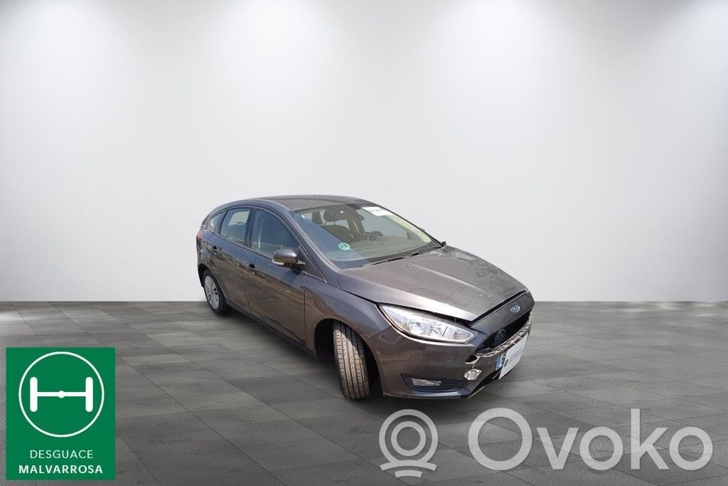 Focus Focus  1924165