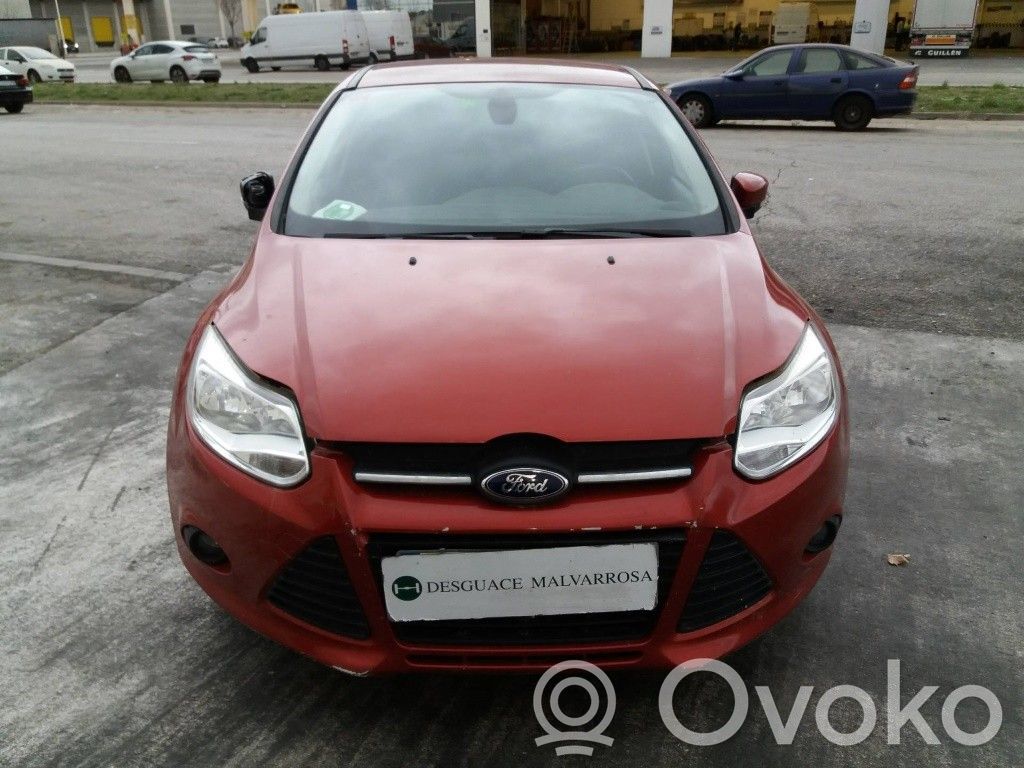 Focus Focus  1940809
