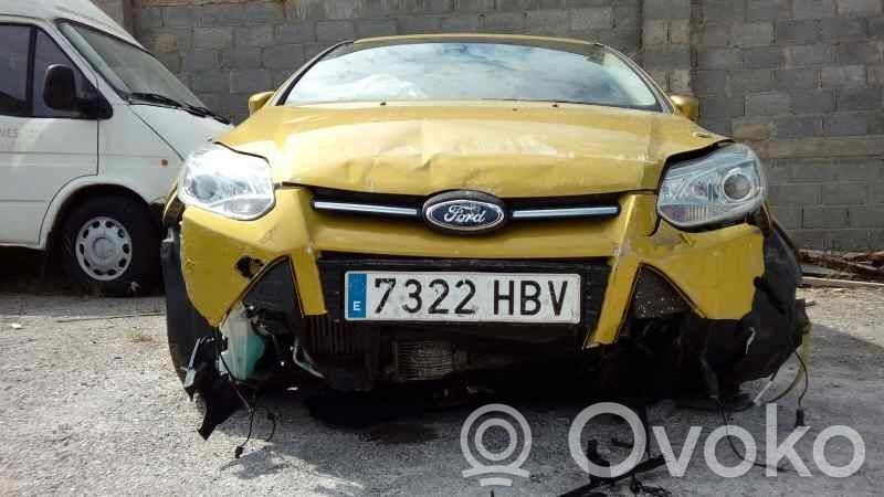 Focus Focus  1708433
