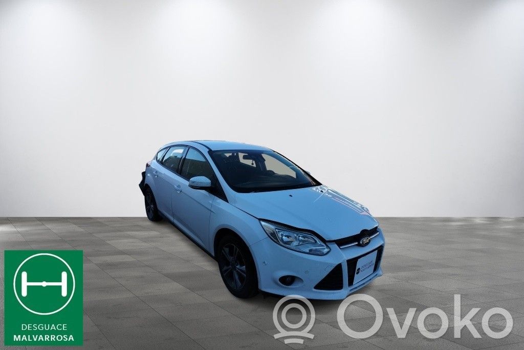 Focus Focus  1681167