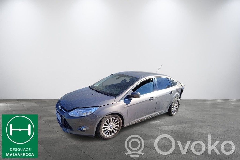 Focus Focus  1781479