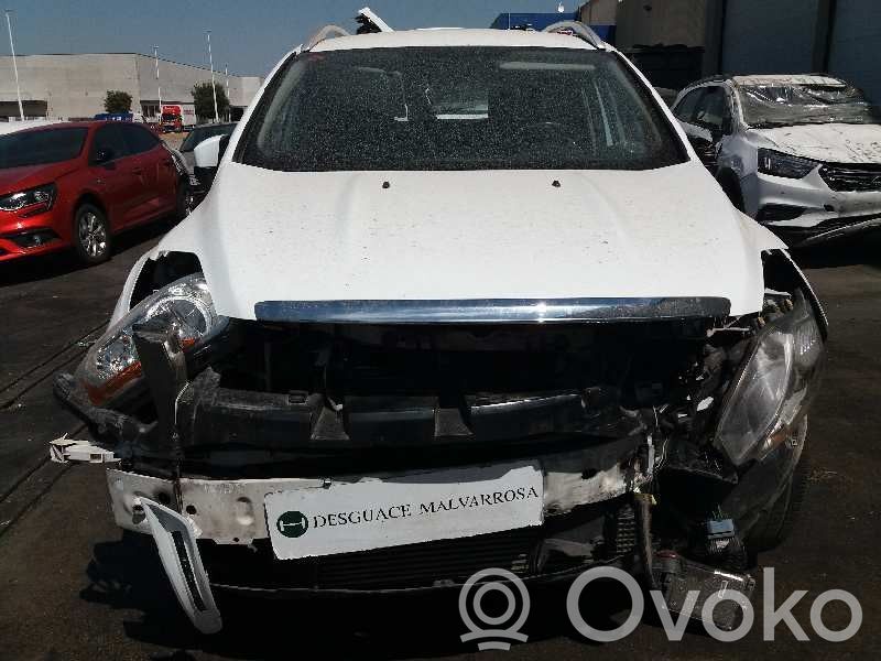 Kuga I Kuga  1718425