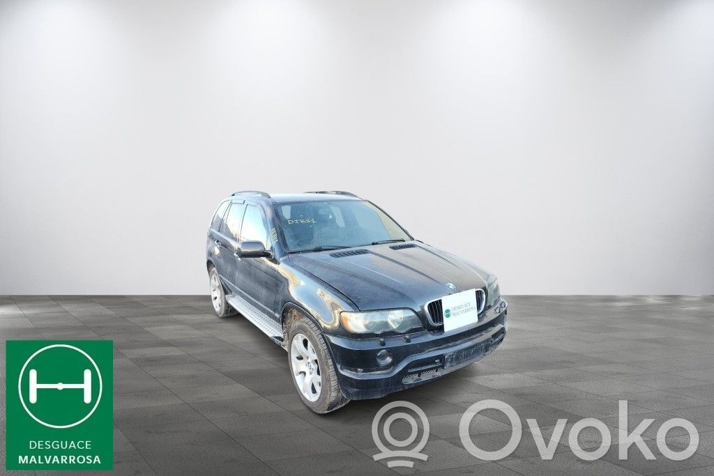 X5 E53 X5  31126769718