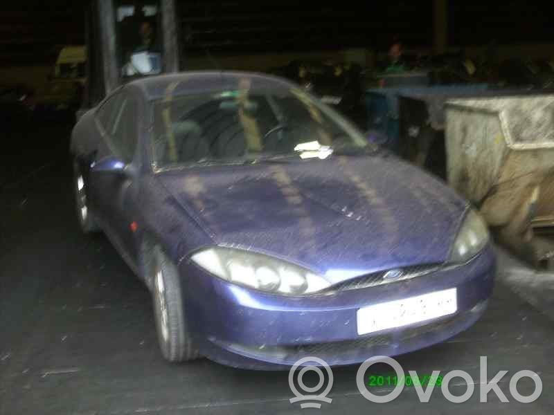 Cougar Cougar  1122591