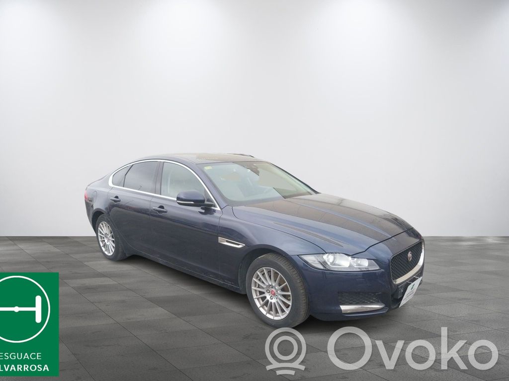 XF X260 XF  T2H3158