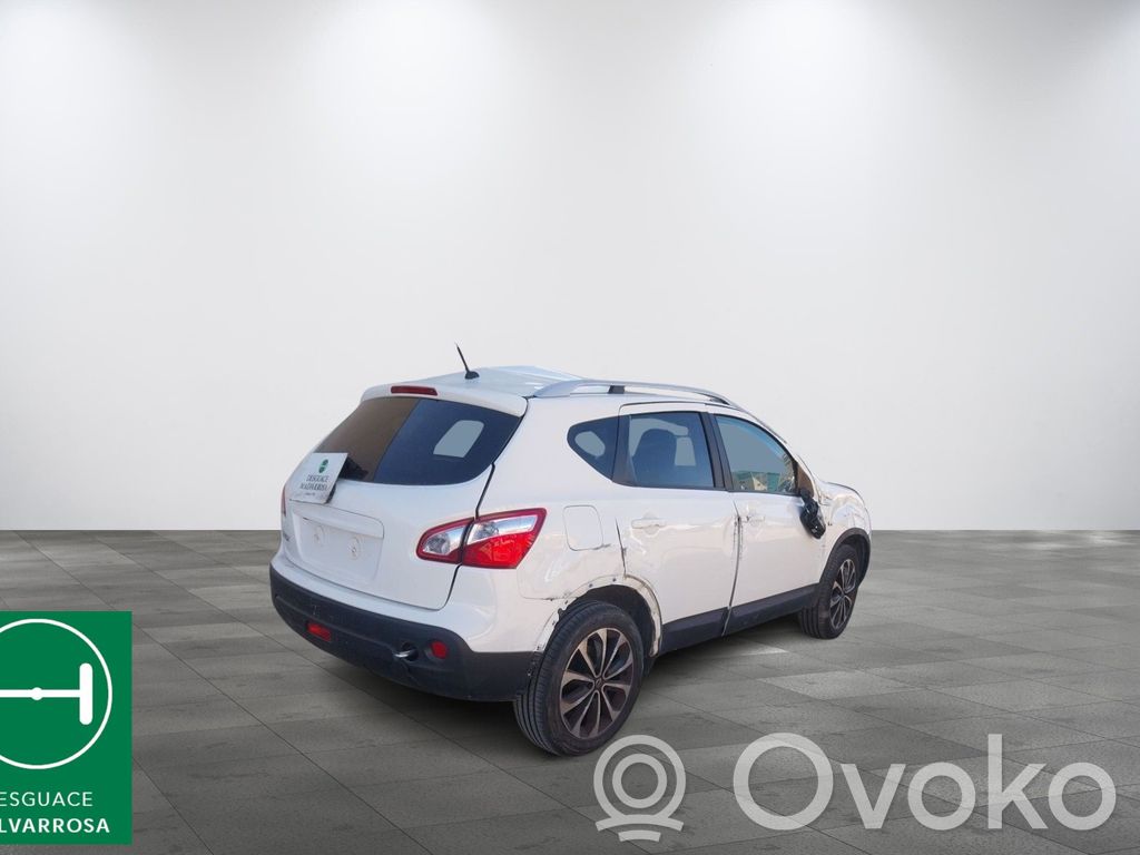 Qashqai Qashqai, Qashqai+2  11210JD00A