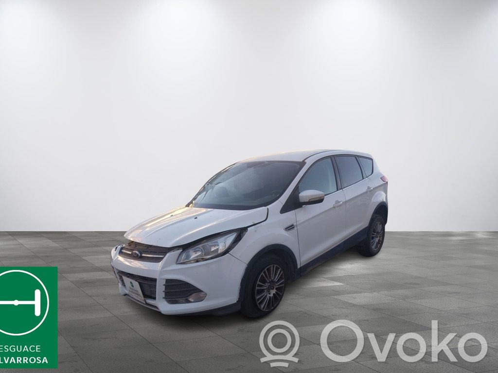 Kuga II Kuga  1831796