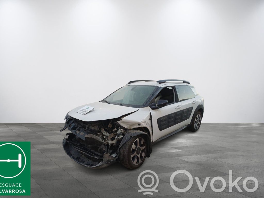 C4 Cactus C4 Picasso, Grand Picasso, Aircross, Cactus
