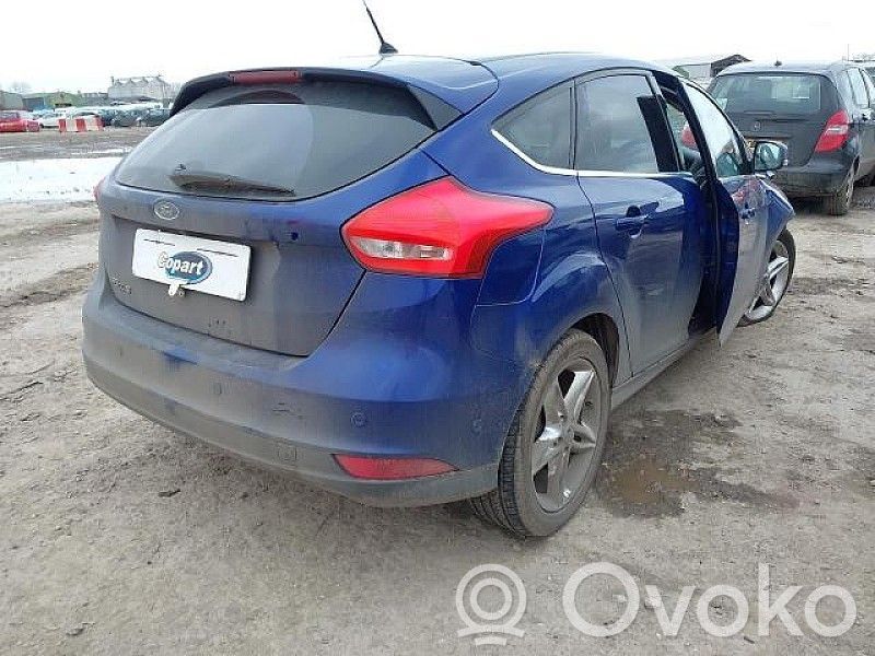 Focus Focus  DM5T14F239AP