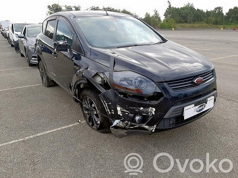 Kuga I Kuga  CV4417A895