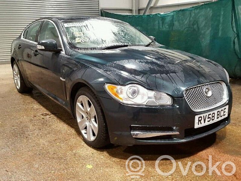 XF XF