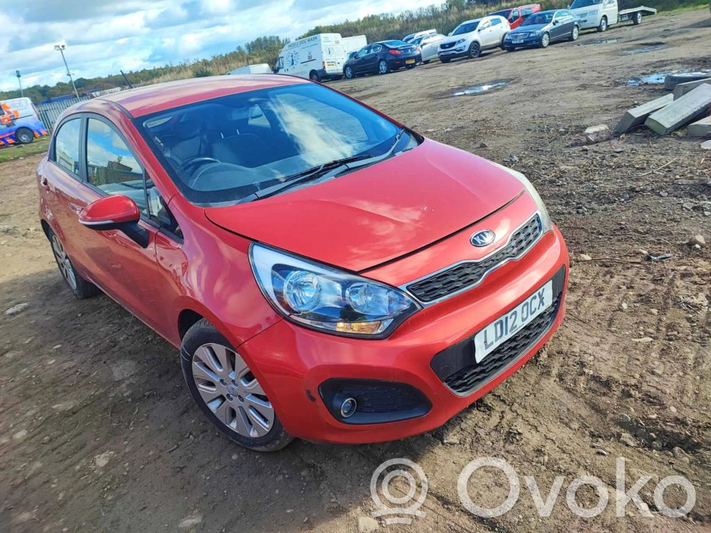Rio Rio  AA11281D